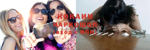 ПСИЛОЦИБИНОВЫЕ ГРИБЫ Пересвет
