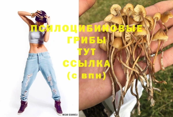 гашиш Переславль-Залесский
