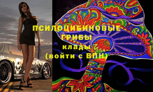 ПСИЛОЦИБИНОВЫЕ ГРИБЫ Пересвет
