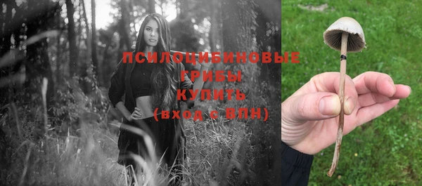 ПСИЛОЦИБИНОВЫЕ ГРИБЫ Пересвет