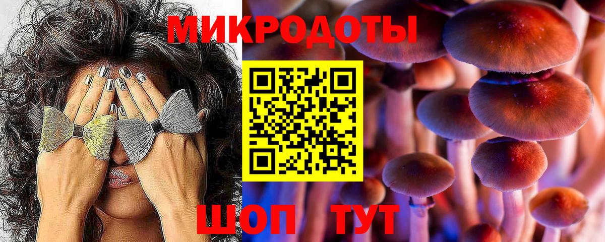 Галлюциногенные грибы прущие грибы  Краснодар 