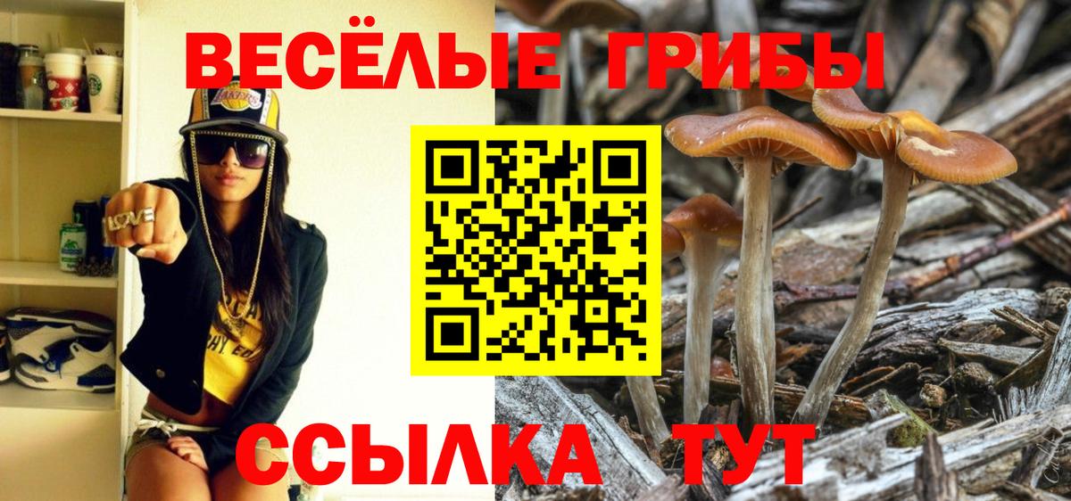 Псилоцибиновые грибы Cubensis  Вход с VPN  Краснодар 
