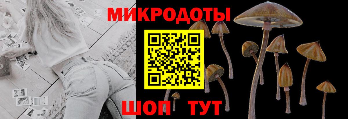 Псилоцибиновые грибы прущие грибы Краснодар